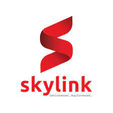 Skylink Fibernet Private Limited