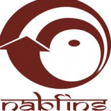 NABFINS